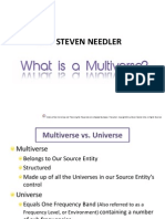 What Is A Multiverse - Guy Steven Needler