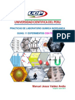 UCP Guias Quimica Inorganica.pdf