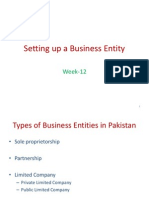 Setting Up A Business Entity