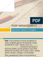 Risk Management Report Summary