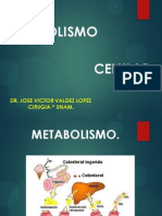 El Metabolismo