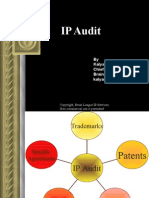 Presentation on IP Audit