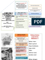 Leaflet Sinusitis