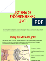 Sistema de Endomembranas