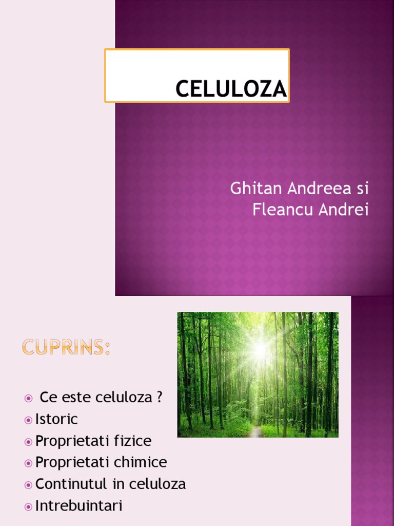 Celuloza | PDF