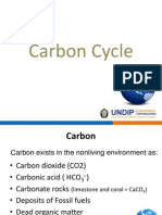 Carbon Cyle1