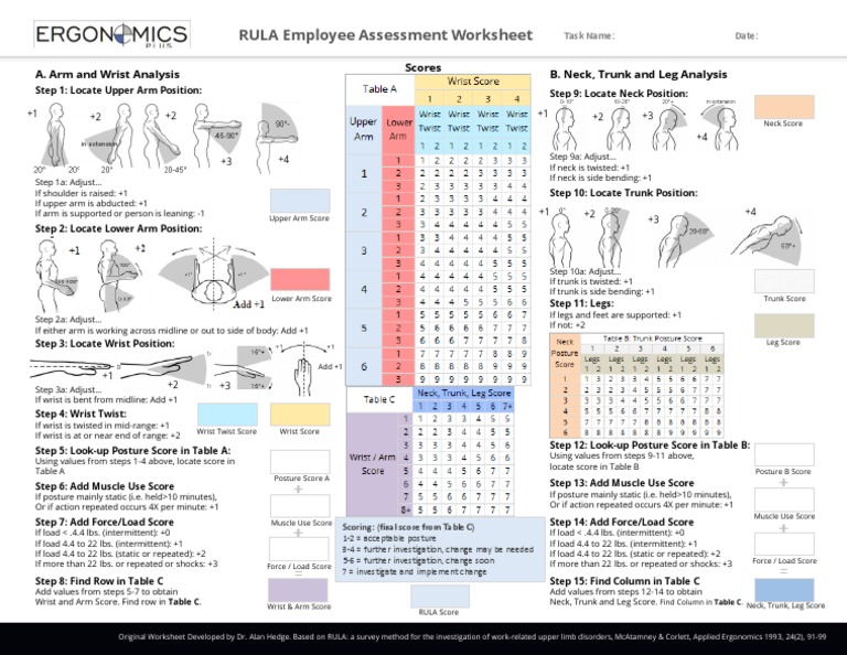 RULA Employee Assessment Worksheet: A Arm and Wrist Analysis B Neck