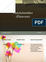 Platyhelminthes (Flatworm)