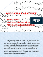 Migratia pasarilor(2003)