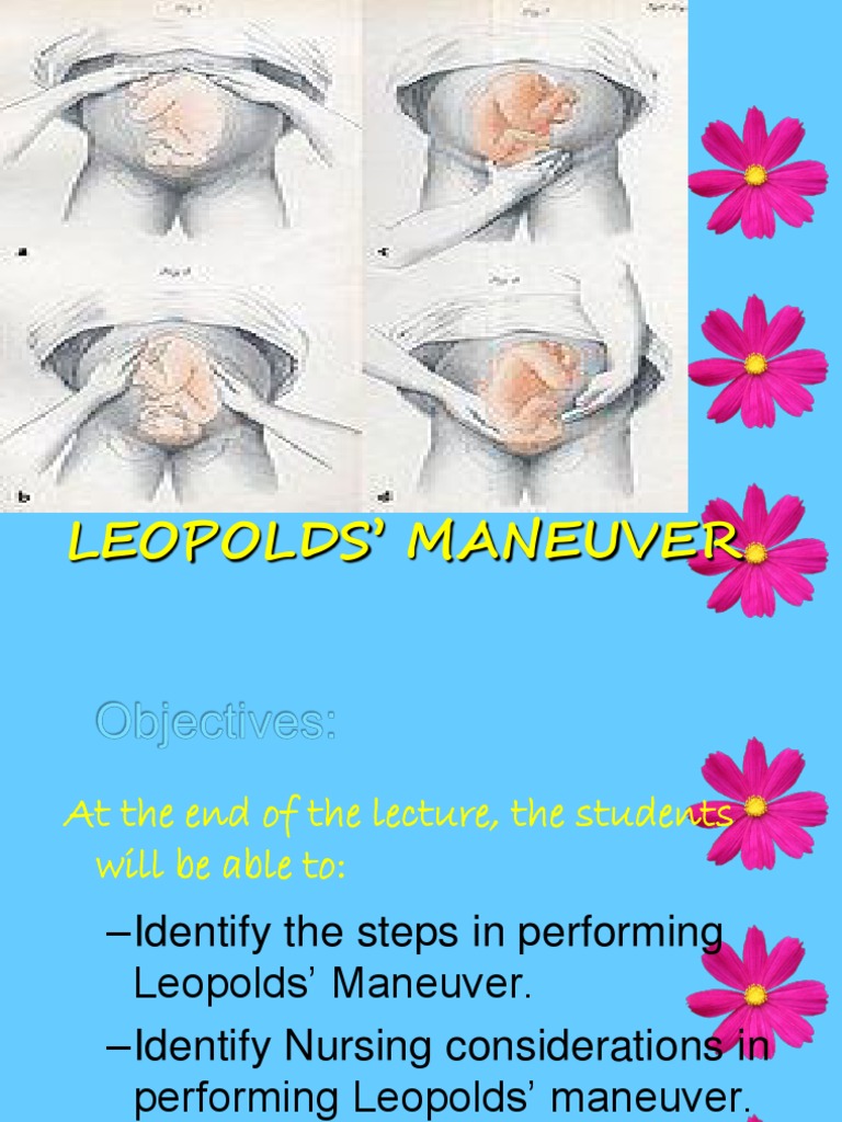 Leopolds Manuever | PDF | Science & Mathematics