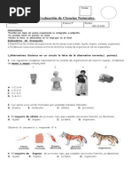 5°prueba CienciasNaturales Célula