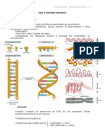 DNA e síntese proteica.pdf