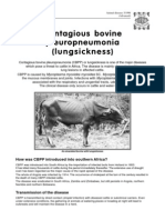 Contagious Bovine Pleuropneumonia (Lungsickness) : How Was CBPP Introduced Into Southern Africa?