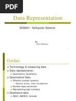 02-Data Representation View