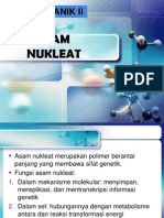 Asam Nukleat