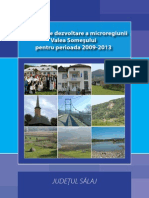 Strategia Microregiunii Valea Somesului_2009_2013