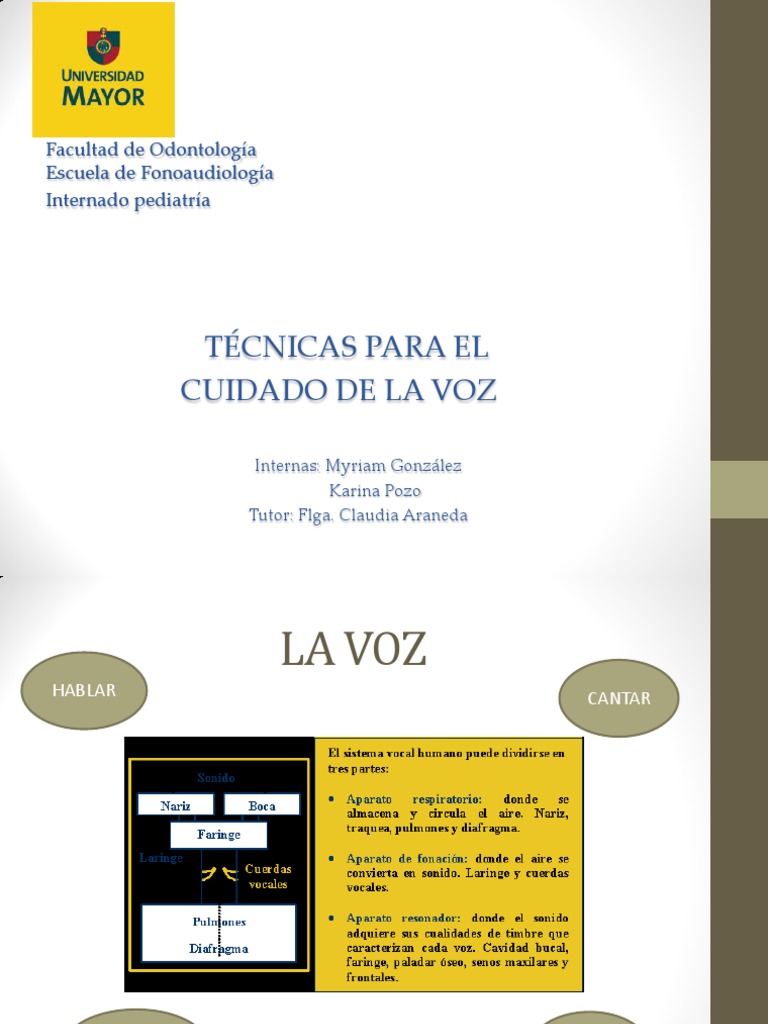 Taller Cuidado de La Voz | PDF | Vocal | Especialidades Medicas