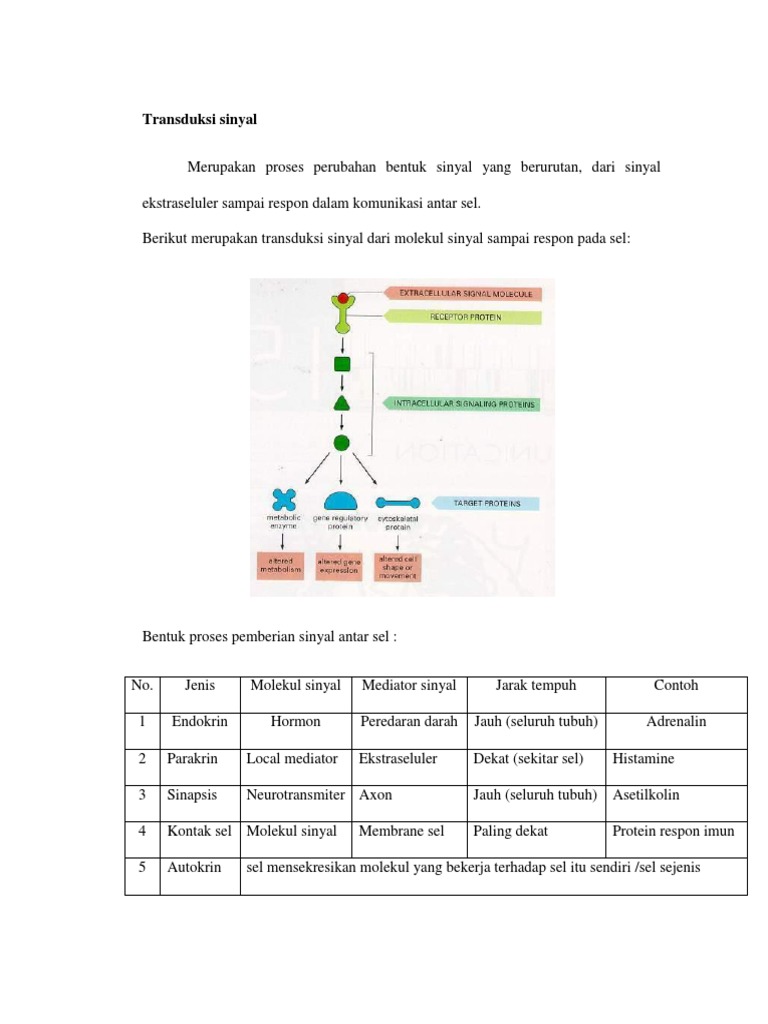 Tugas Jenis Reseptor | PDF