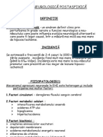 Curs 3.2 Neonat Suferinţa Neurologică Postasfixică