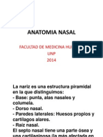 Anatomia Nasal 5