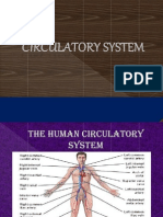 1.Circulatory System Intro