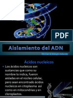 Presentacin1aislamientodeladn222222 100930005547 Phpapp02