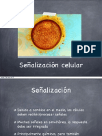 Señalizacion Intracelular