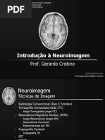 Introducao_Neuroimagem