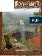 Fall Creek Falls Visitor Guide 2010