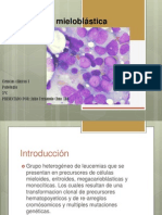 Leucemia Mieloblástica Aguda