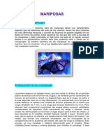 Mariposas PDF
