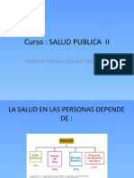 Seminario Salud Publica