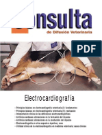 electrocardiografia veterinaria