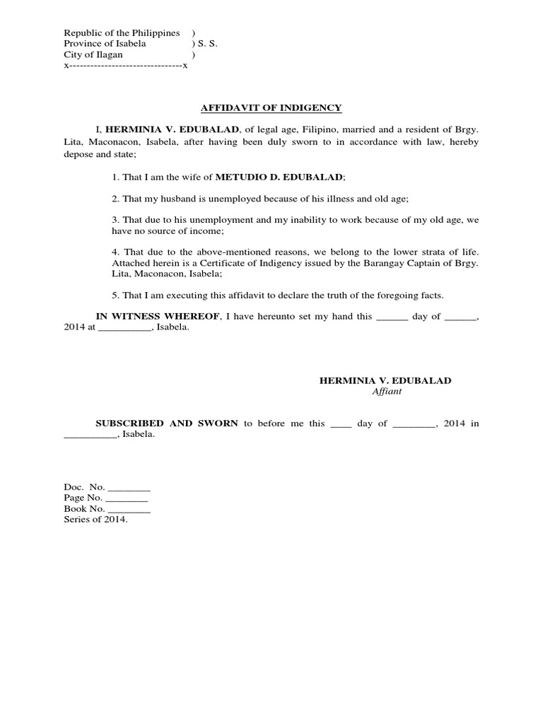 Affidavit of Indigency | PDF