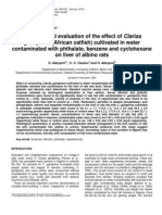 Toxicological Evaluation of The Effect of Clarias Gariepinus (African Catfish) Cultivated in Water Contaminated