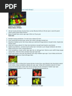 SURAT KETERANGAN SAKIT