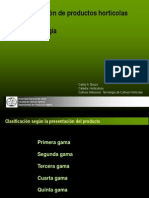 Clasificación de Hortalizas1