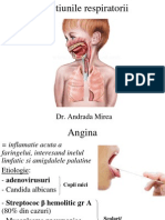 Afectiunile Respiratorii