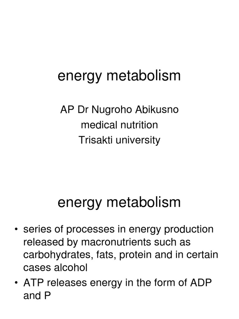 Understanding Energy Metabolism and Nutrition | PDF