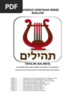 Significado y Práctica de Shefa en Kabbalah | PDF
