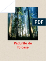 Geografie - Padurile de Foioase