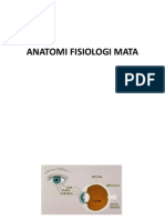 Anatomifisiologimata 131001091042 Phpapp01