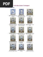 Download GoJu Ryu Karate Techniques by Ashleigh Thomas SN229926699 doc pdf
