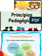 Principios Pedagogicos