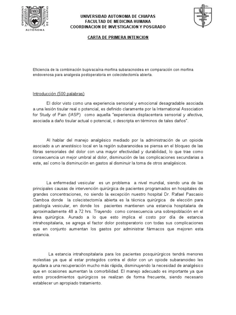 Formato Para La Carta de Primera Intencion Terapia intravenosa Dolor