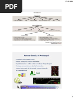 Mutantes_de_insercao.pdf