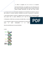 Composicion Del ADN