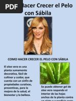 Como Hacer Crecer El Pelo Con Sábila 