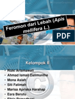 Feromon Dari Lebah (Apis Mellifera L