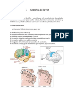 Anatomía de La Voz